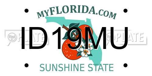 ID19MU Florida License Plate