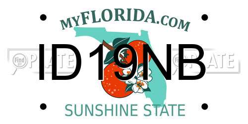 ID19NB Florida License Plate