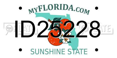 ID25228 Florida License Plate