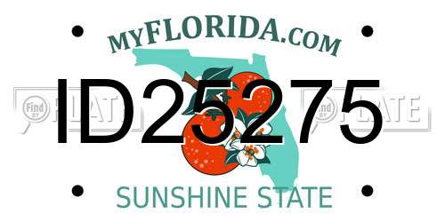 ID25275 Florida License Plate