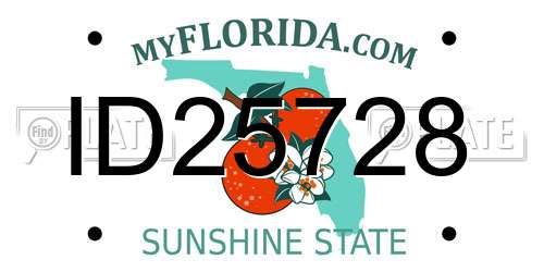 ID25728 Florida License Plate