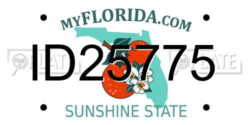 ID25775 Florida License Plate
