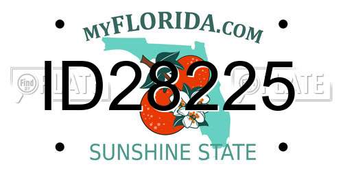 ID28225 Florida License Plate