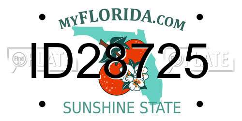 ID28725 Florida License Plate