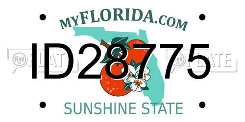 ID28775 Florida License Plate