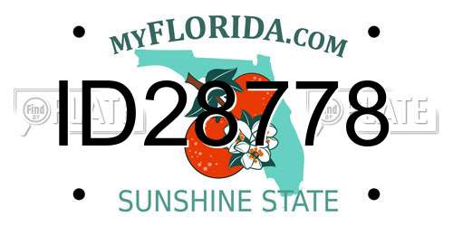 ID28778 Florida License Plate