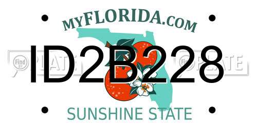 ID2B228 Florida License Plate