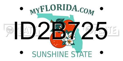 ID2B725 Florida License Plate