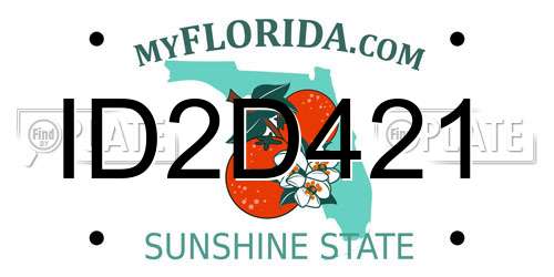 ID2D421 Florida License Plate