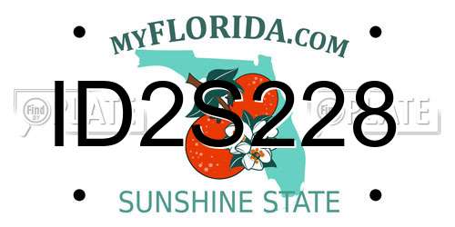 ID2S228 Florida License Plate