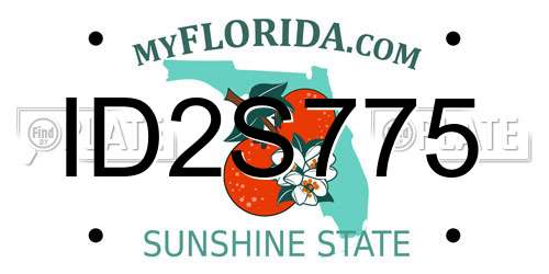 ID2S775 Florida License Plate