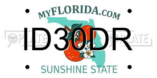 ID30DR Florida License Plate