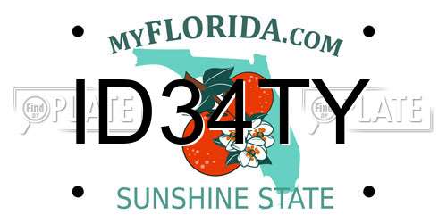 ID34TY Florida License Plate