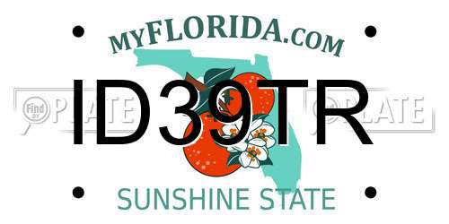 ID39TR Florida License Plate