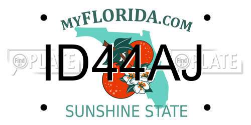 ID44AJ Florida License Plate