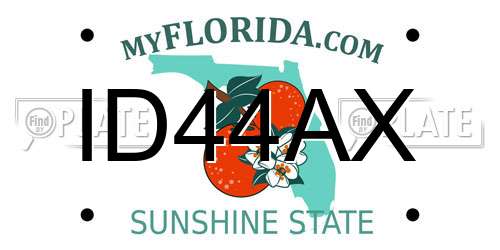 ID44AX Florida License Plate