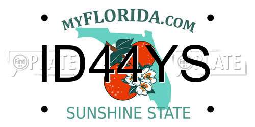 ID44YS Florida License Plate