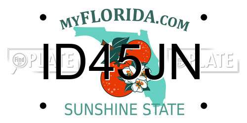 ID45JN Florida License Plate