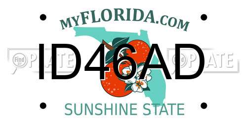 ID46AD Florida License Plate