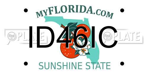 ID46IC Florida License Plate