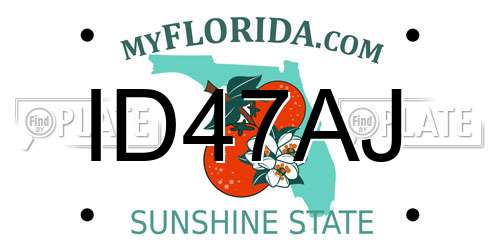 ID47AJ Florida License Plate