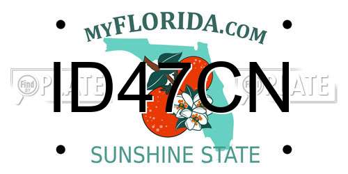 ID47CN Florida License Plate