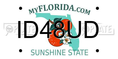 ID48UD Florida License Plate