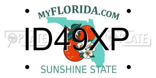 ID49XP Florida License Plate