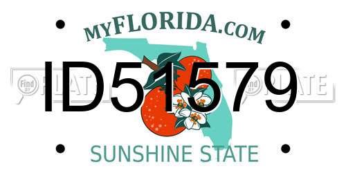ID51579 Florida License Plate