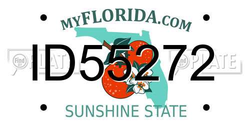 ID55272 Florida License Plate