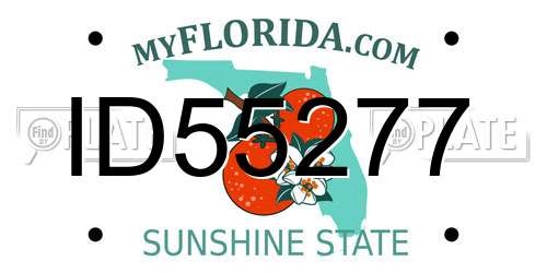 ID55277 Florida License Plate