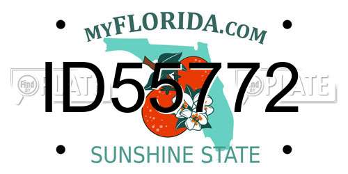 ID55772 Florida License Plate