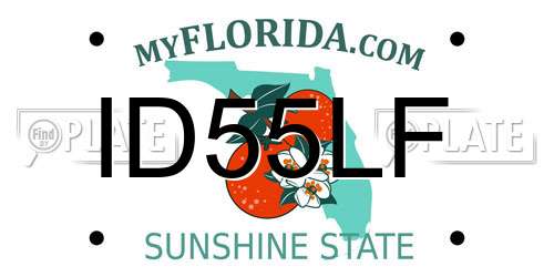 ID55LF Florida License Plate