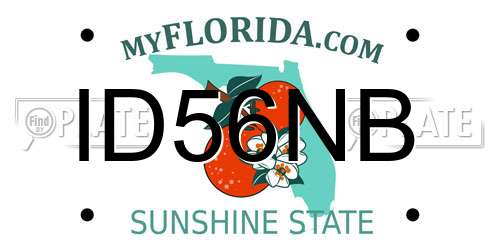 ID56NB Florida License Plate