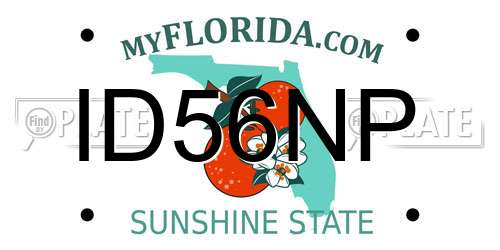 ID56NP Florida License Plate