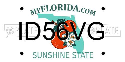 ID56VG Florida License Plate
