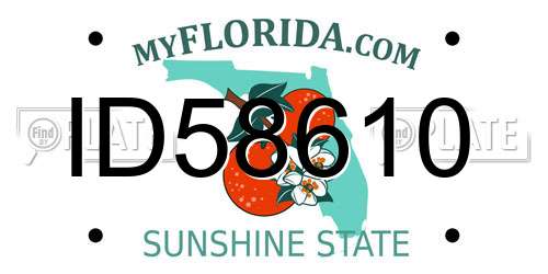 ID58610 Florida License Plate