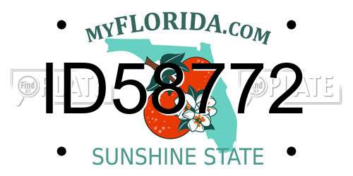 ID58772 Florida License Plate