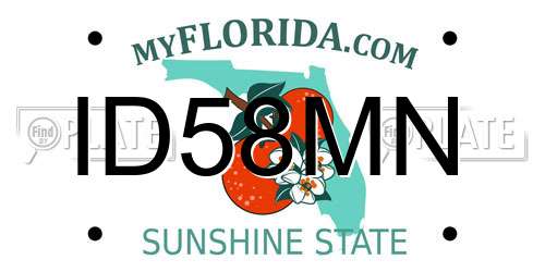 ID58MN Florida License Plate