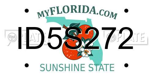 ID5S272 Florida License Plate