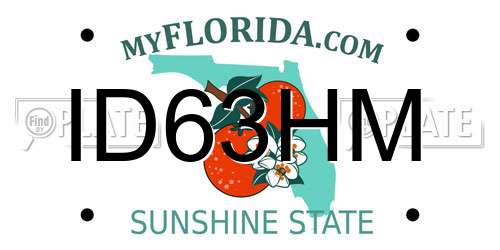 ID63HM Florida License Plate