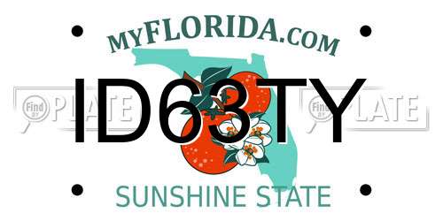 ID63TY Florida License Plate
