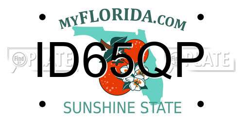ID65QP Florida License Plate
