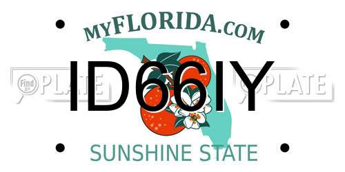 ID66IY Florida License Plate
