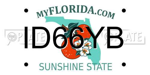ID66YB Florida License Plate