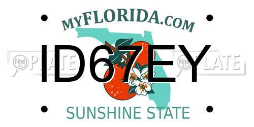 ID67EY Florida License Plate