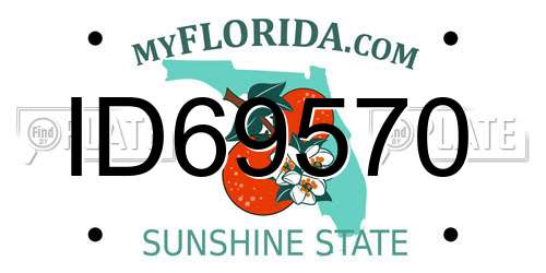 ID69570 Florida License Plate