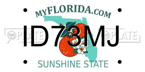 ID73MJ Florida License Plate