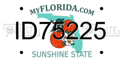 ID75225 Florida License Plate