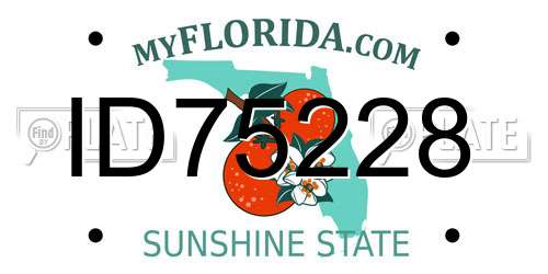 ID75228 Florida License Plate